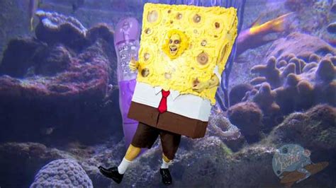 Spongeknob square nuts - Jan 25, 2013 · The trailer features a yellow-painted actor in a clunky, crusty SpongeBob costume, and a much more svelte woman in the astronaut suit that belongs to Sandy the Squirrel. The film's plot seems to ... 